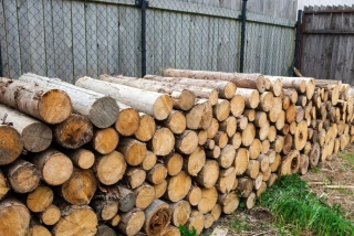 Měkké dřevo 100cm rovnané